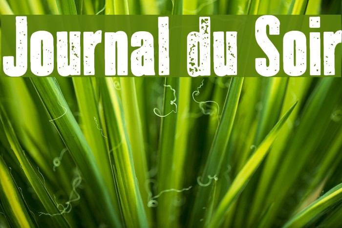 Journal du Soir Example 2