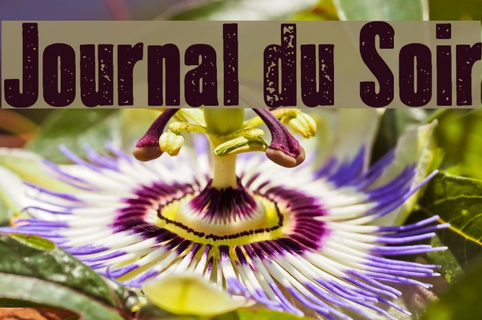 Journal du Soir Example 3