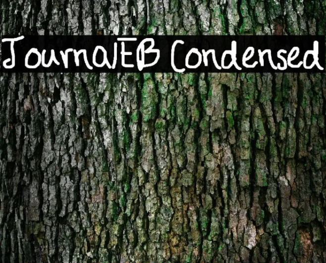 JournalEB Condensed Example 3