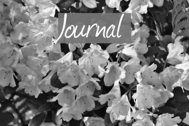 Journal Font examples