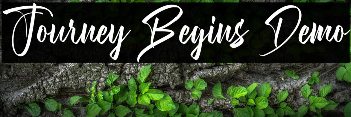 Journey Begins Demo Example 1