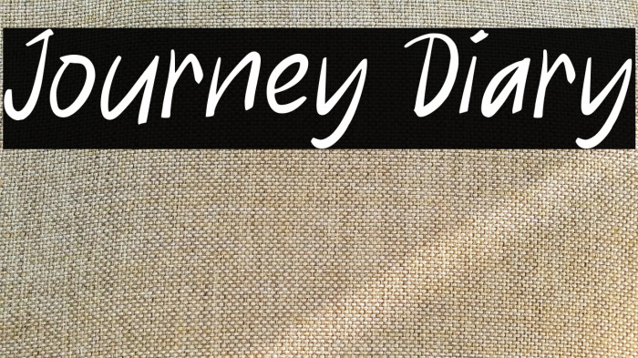 Journey Diary Example 1