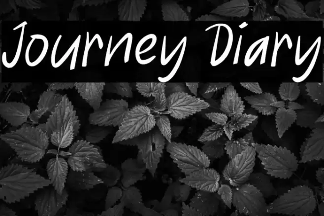 Journey Diary Fonte examples