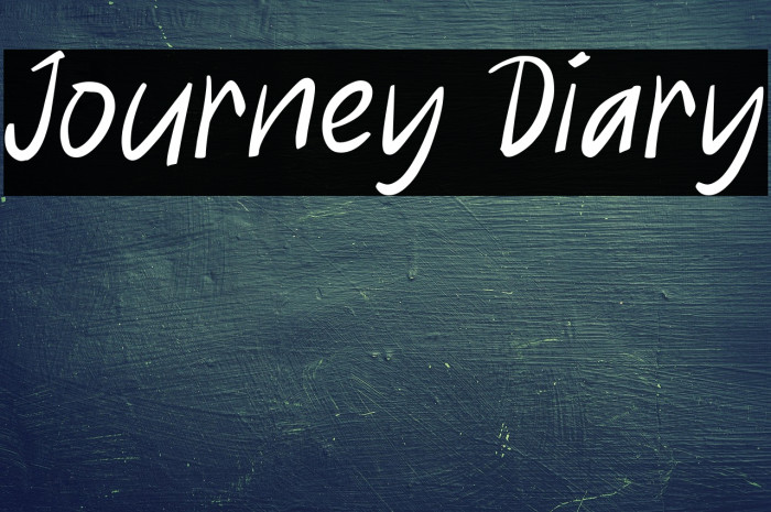 Journey Diary Example 3