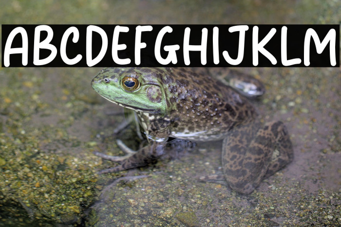 Journey Life Example 2