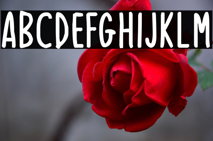 Journey Planner Example 2