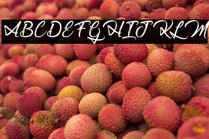 Journey to Thailand Example 2