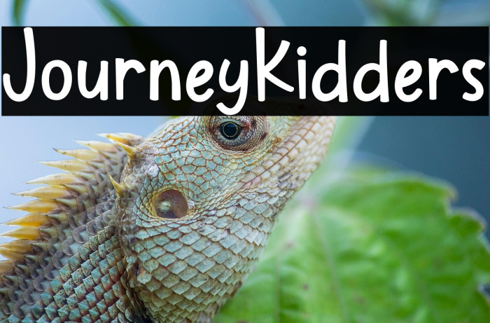 JourneyKidders Example 1