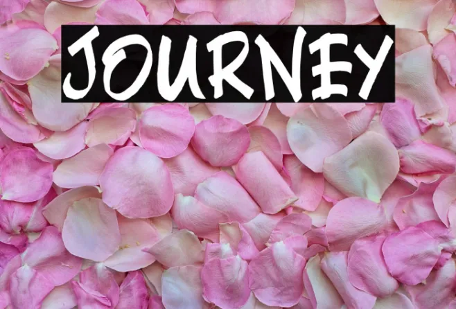Journey Example 1