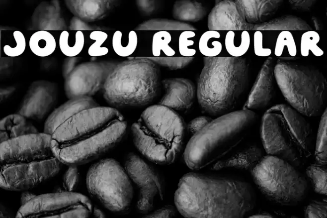 Jouzu Regular Polices examples