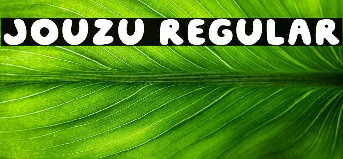 Jouzu Regular Example 2