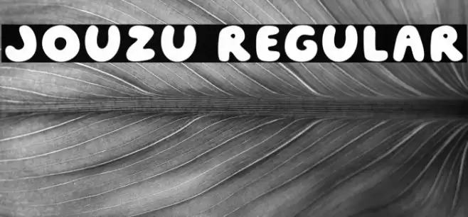 Jouzu Regular Polices examples