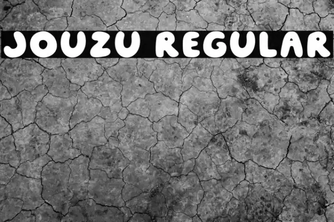 Jouzu Regular Polices examples