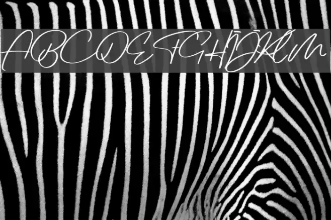 Jovanka Demo Regular Font examples