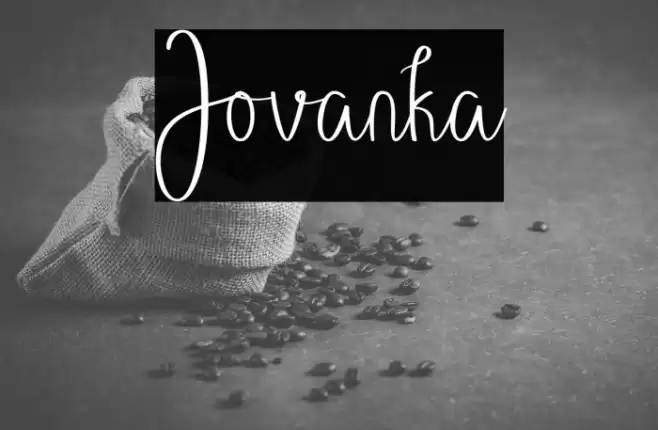 Jovanka Font examples