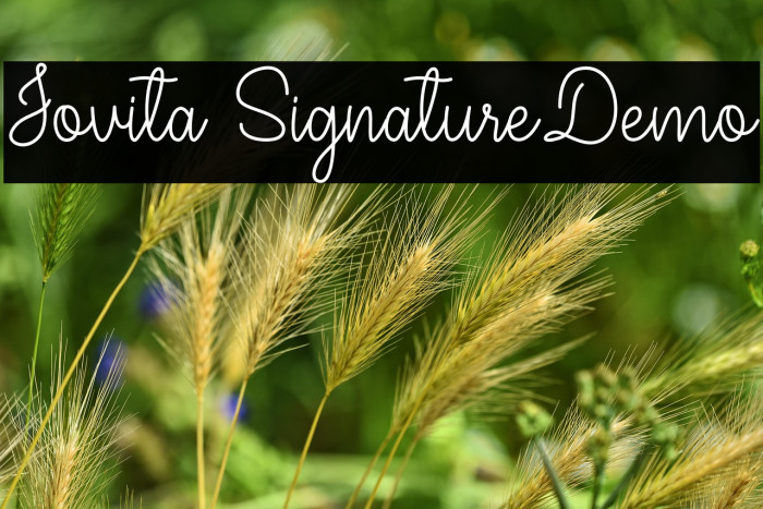 Jovita SignatureDemo Example 1
