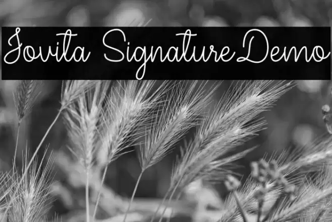 Jovita SignatureDemo フォント examples