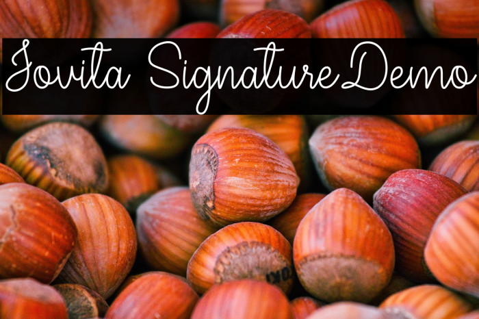 Jovita SignatureDemo Example 3