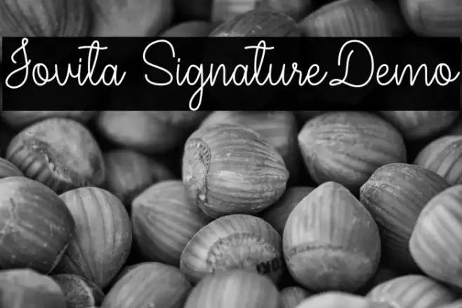 Jovita SignatureDemo フォント examples