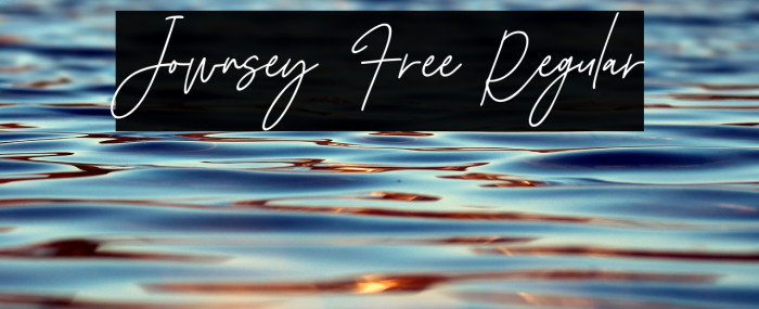 Jownsey Free Regular Example 2