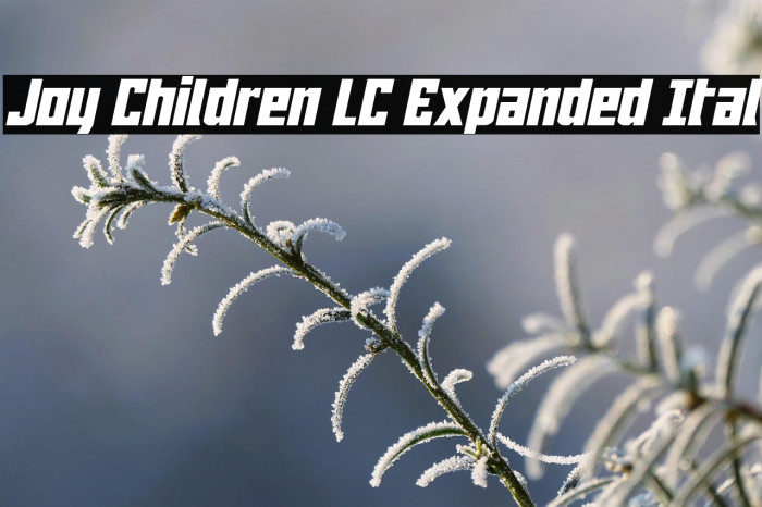 Joy Children LC Expanded Ital Example 3