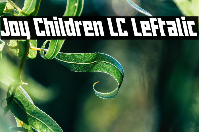 Joy Children LC Leftalic Example 2
