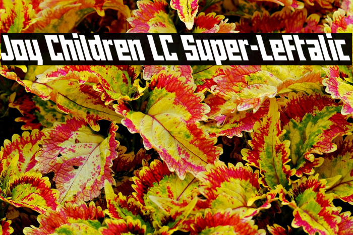 Joy Children LC Super-Leftalic Example 2