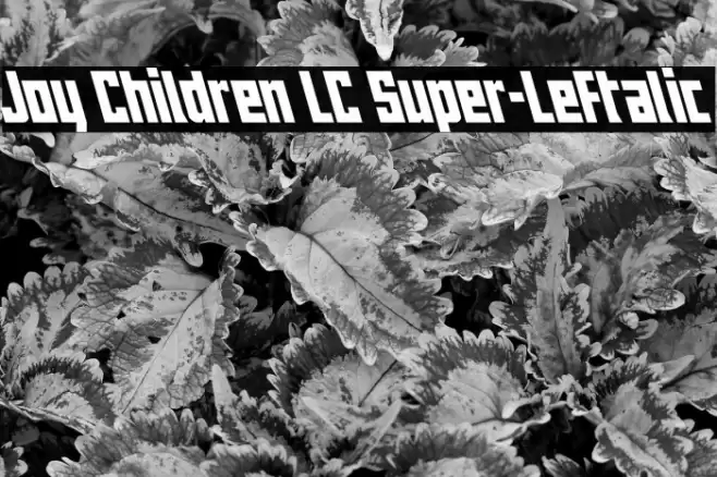 Joy Children LC Super-Leftalic Font examples