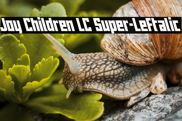 Joy Children LC Super-Leftalic Example 3