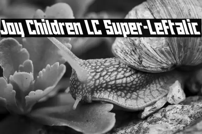 Joy Children LC Super-Leftalic Font examples