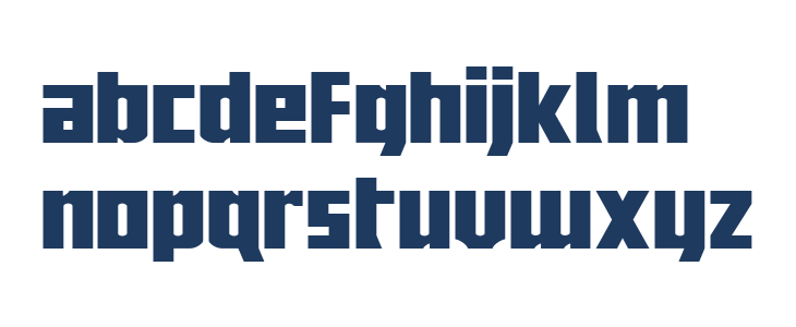 Joy Children LC Wide Lowercase