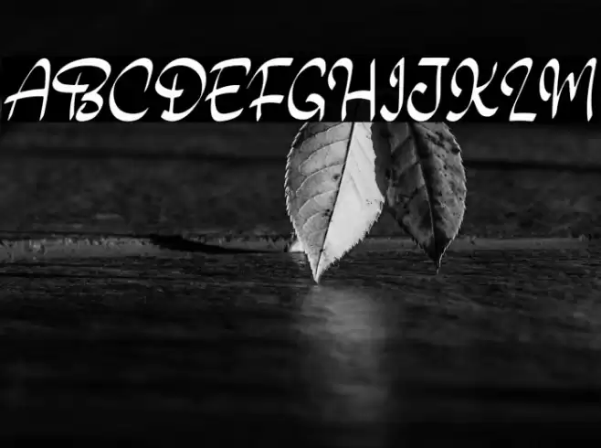 Joy Day Font examples