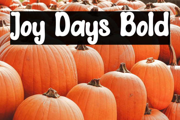 Joy Days Bold Example 3