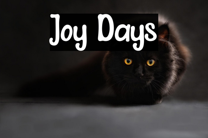 Joy Days Example 3