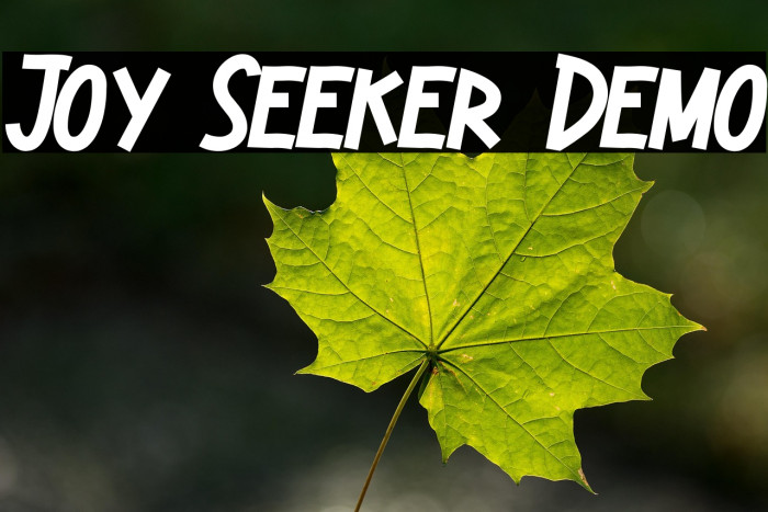 Joy Seeker Demo Example 1