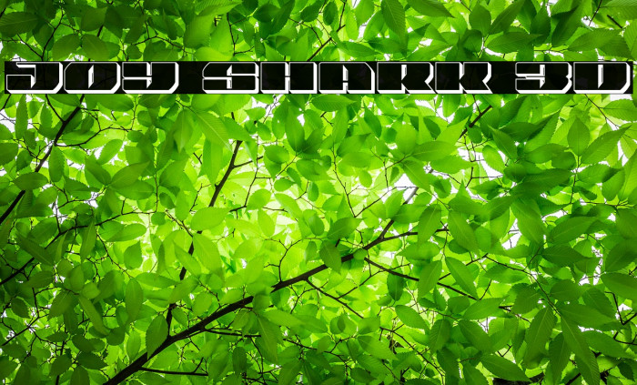Joy Shark 3D Font examples