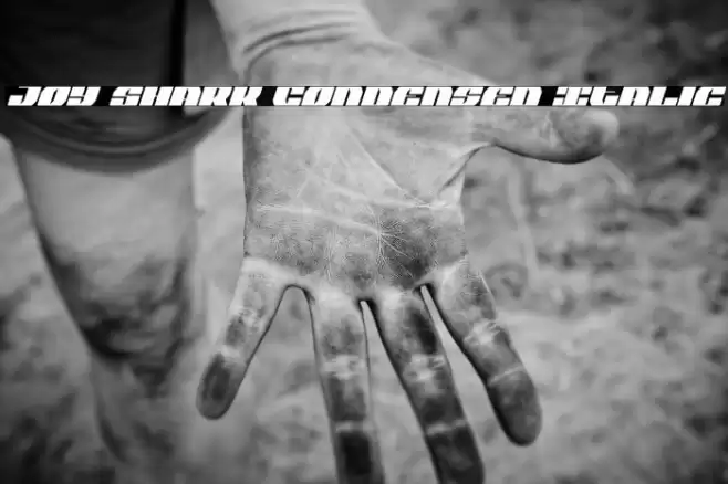 Joy Shark Condensed Italic Font examples