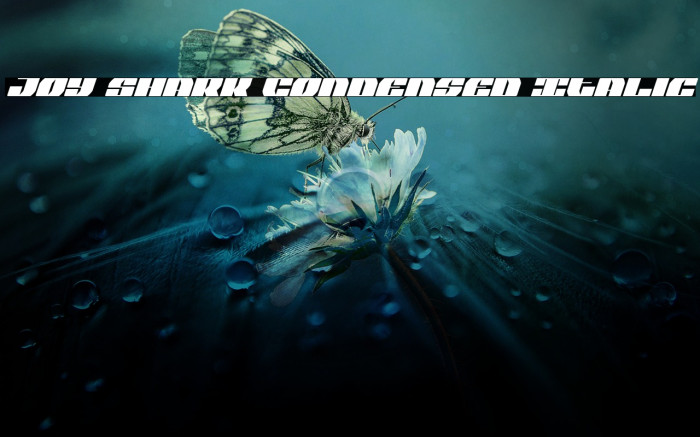 Joy Shark Condensed Italic Example 3