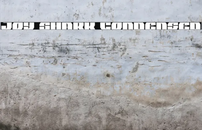 Joy Shark Condensed Example 1
