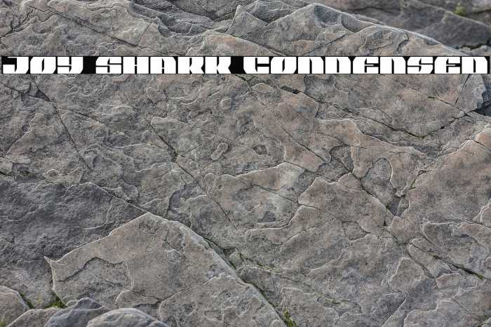 Joy Shark Condensed Font examples