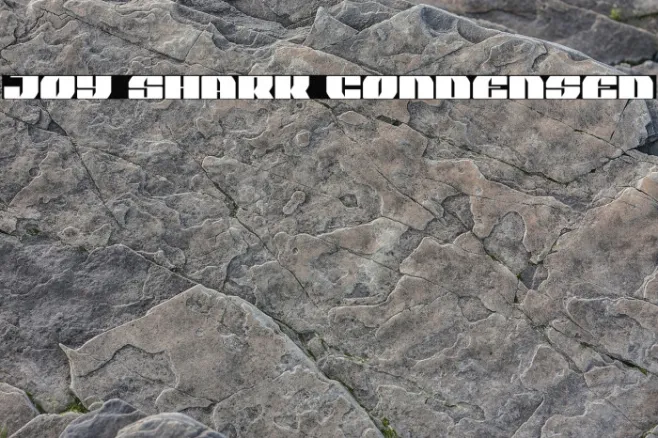 Joy Shark Condensed Example 3