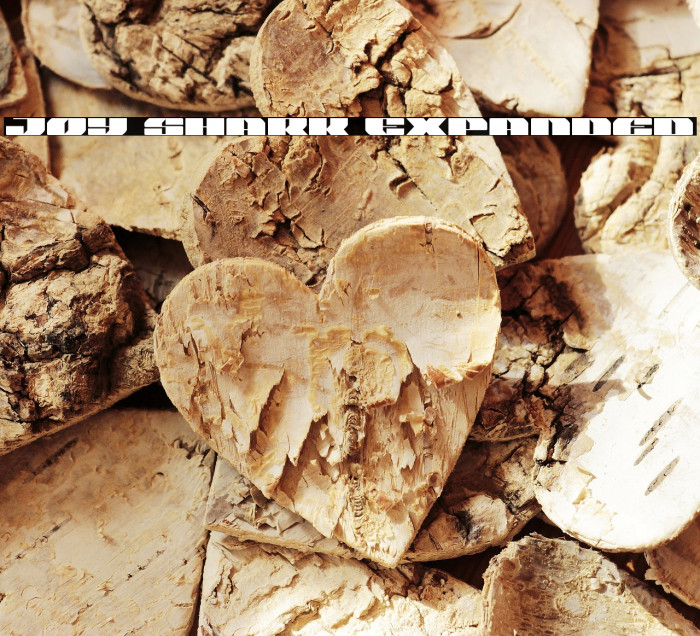 Joy Shark Expanded Example 1