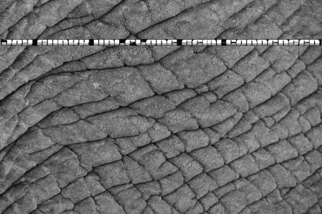 Joy Shark Halftone Semi-Condensed Font examples