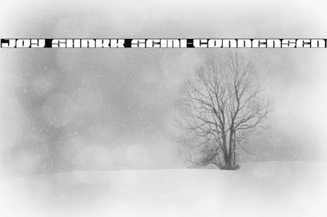 Joy Shark Semi-Condensed Font examples