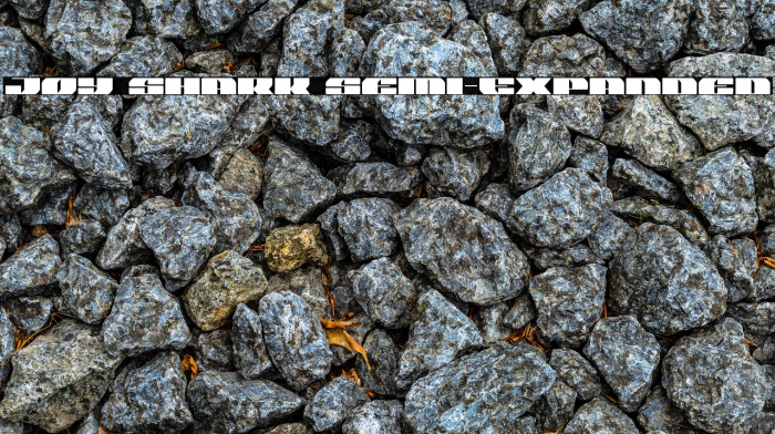 Joy Shark Semi-Expanded Example 1