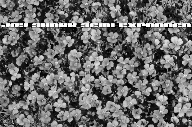 Joy Shark Semi-Expanded Font examples