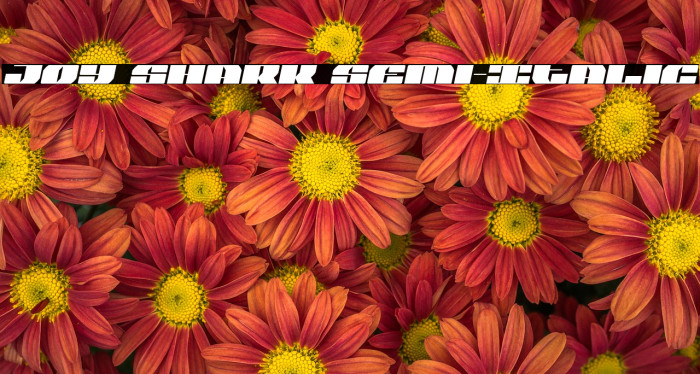 Joy Shark Semi-Italic Example 1