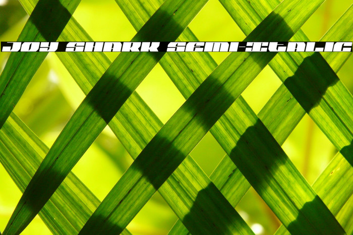 Joy Shark Semi-Italic Example 3