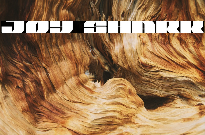 Joy Shark Font examples