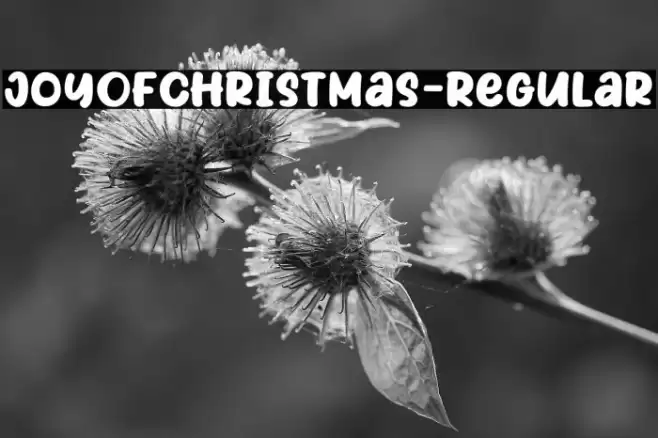 JoyOfChristmas-Regular Font examples